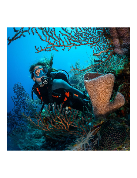 AquaLung Pro HD Compact BCD