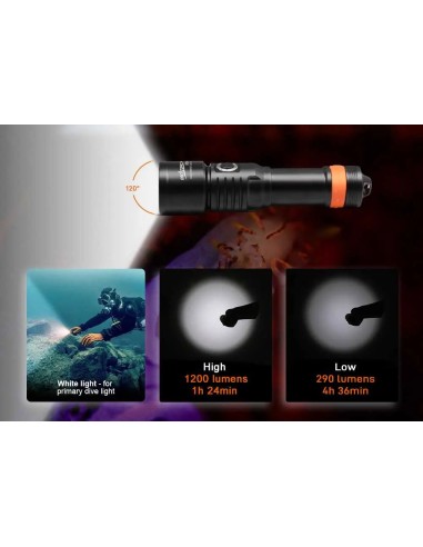 OrcaTorch D530V Video Dive Light