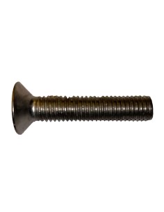 BtS Stainless steel screw