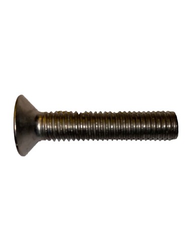 BtS Stainless steel screw