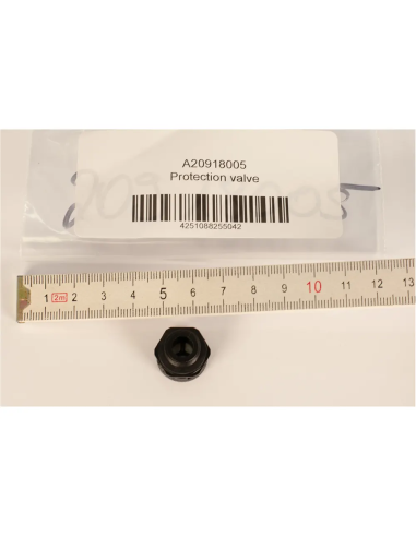 BtS Protection valve