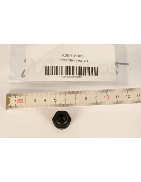 BtS Protection valve
