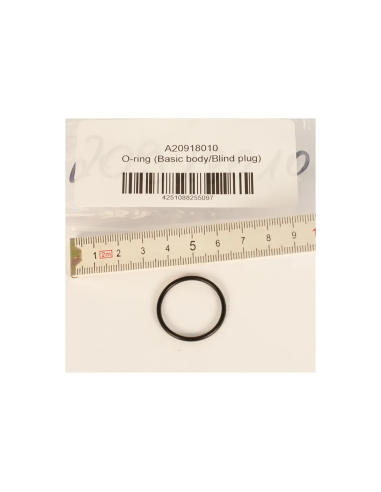 BtS O-ring (Basic body/Blind plug)