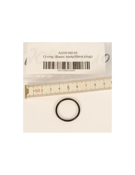 BtS O-ring (Basic body/Blind plug)