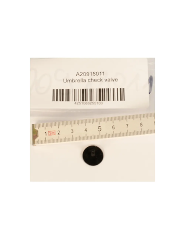 BtS Umbrella check valve