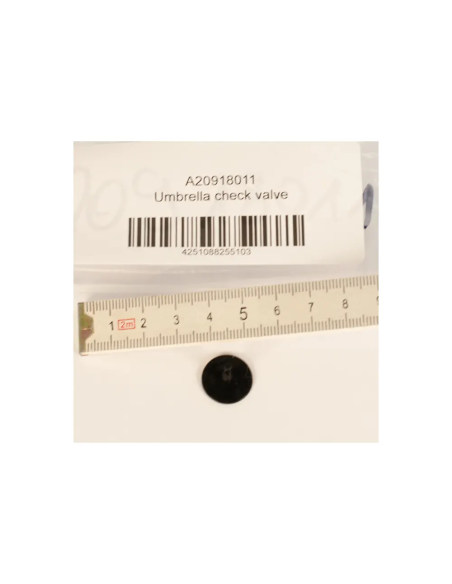 BtS Umbrella check valve
