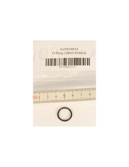BtS O-Ring (Valve holder)