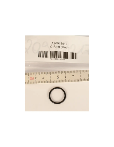 BtS O-Ring (Cap)