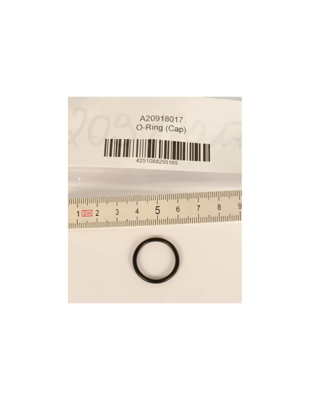 BtS O-Ring (Cap)