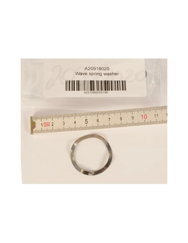 BtS Wave spring washer