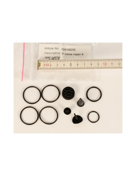 BtS P-Valve repair and Sparepart kit (20918002; 20918004; 4x20918010; 20918011, 20918012, 20918013, 20918017)