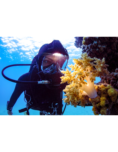 Ocean Reef Vesper - Integrated Headlight