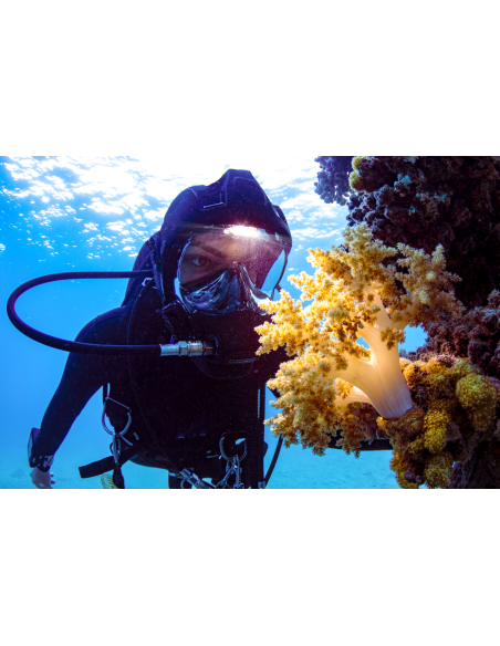 Ocean Reef Vesper - Integrated Headlight