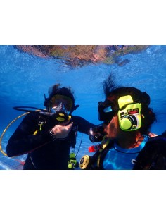 Ocean Reef M-101A G.Divers Underwater Receiving Unit 2