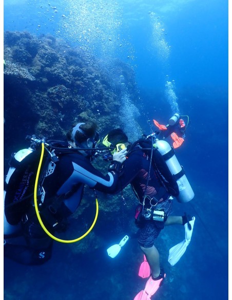 Ocean Reef M-101A G.Divers Underwater Receiving Unit