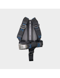 Halcyon Carbon Fiber Backplate with Cinch