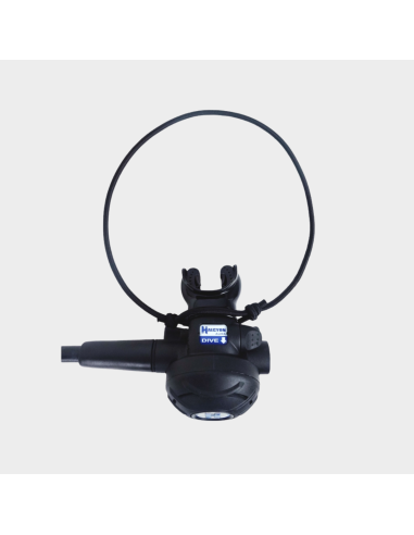 Halcyon Backup Regulator Necklace