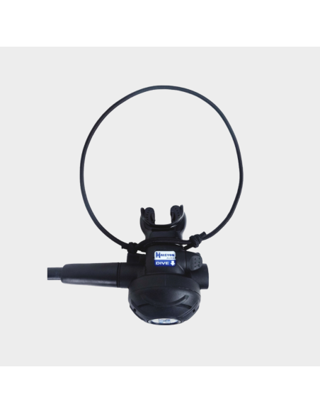 Halcyon Backup Regulator Necklace